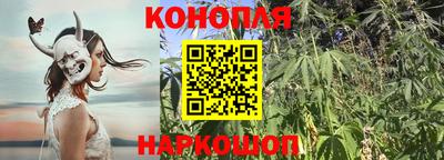 амф Ярославль
