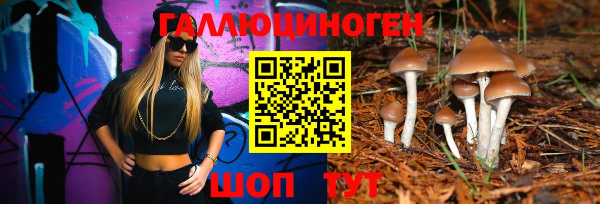 Псилоцибиновые грибы прущие грибы  Псилоцибиновые грибы прущие грибы  Черногорск  Вход с VPN 