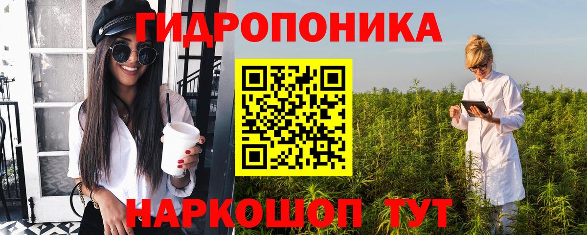 Марихуана план Черногорск